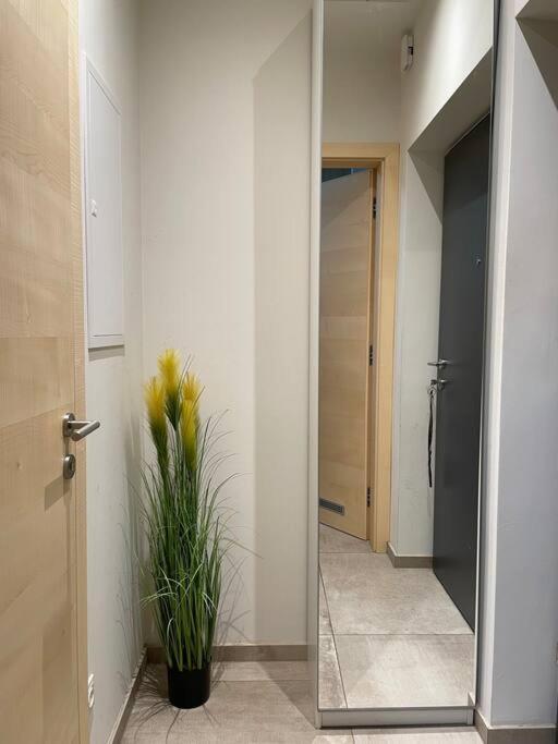 Gartenwohnung Mit Terrasse Und Parkplatz กราซ ภายนอก รูปภาพ